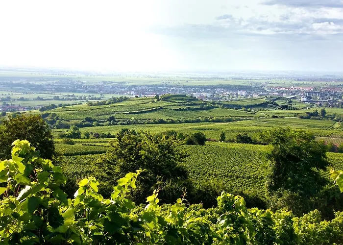 Appartement Winzerhof Schwerdt *